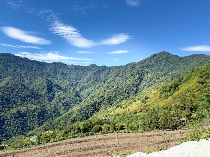 【原住民族學生資源中心活動】5/22-5/24 山林的呼喚｜鎮西堡泰雅文化青年培訓營 DAY3 活動花絮圖片