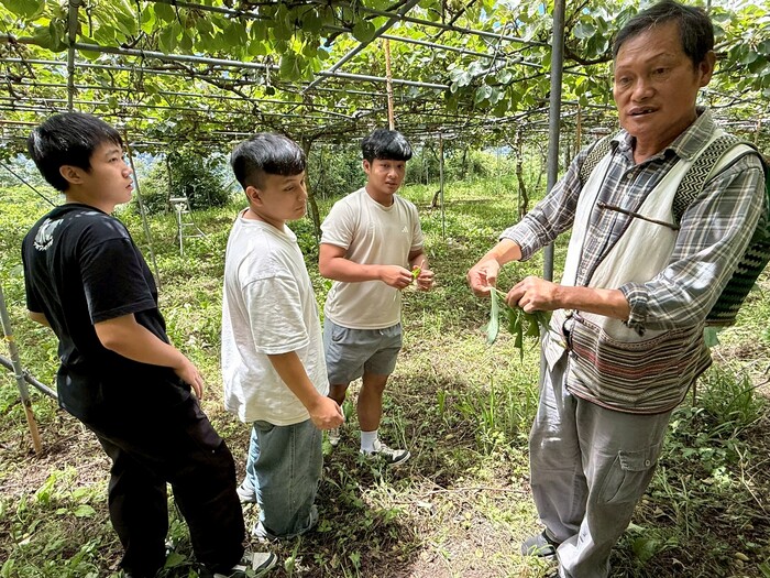 【原住民族學生資源中心活動】5/22-5/24 山林的呼喚｜鎮西堡泰雅文化青年培訓營 DAY3 活動花絮圖片