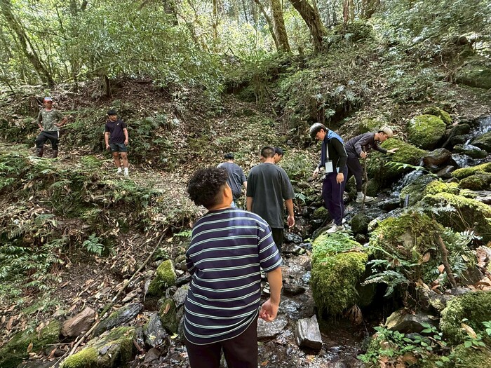【原住民族學生資源中心活動】5/22-5/24 山林的呼喚｜鎮西堡泰雅文化青年培訓營 DAY2 活動花絮圖片