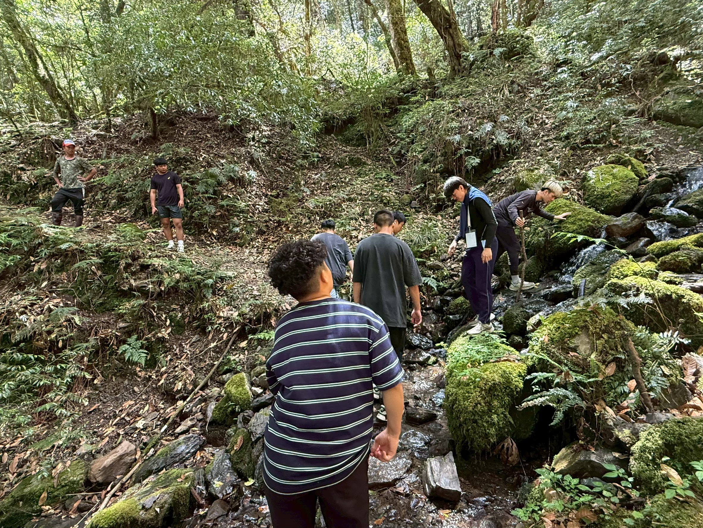 5/22-5/24 山林的呼喚｜鎮西堡泰雅文化青年培訓營